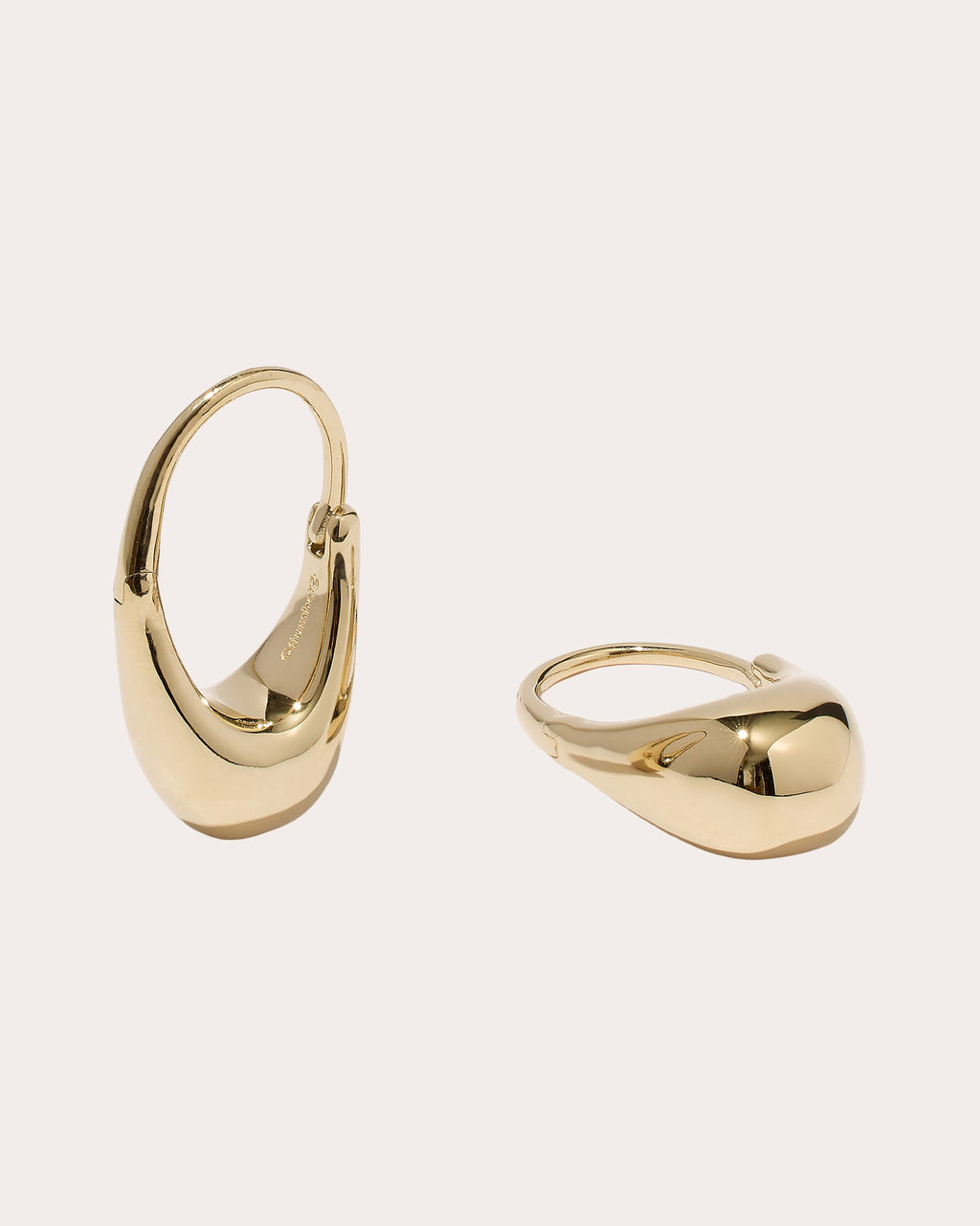 Roscida Drop Hoop Earrings