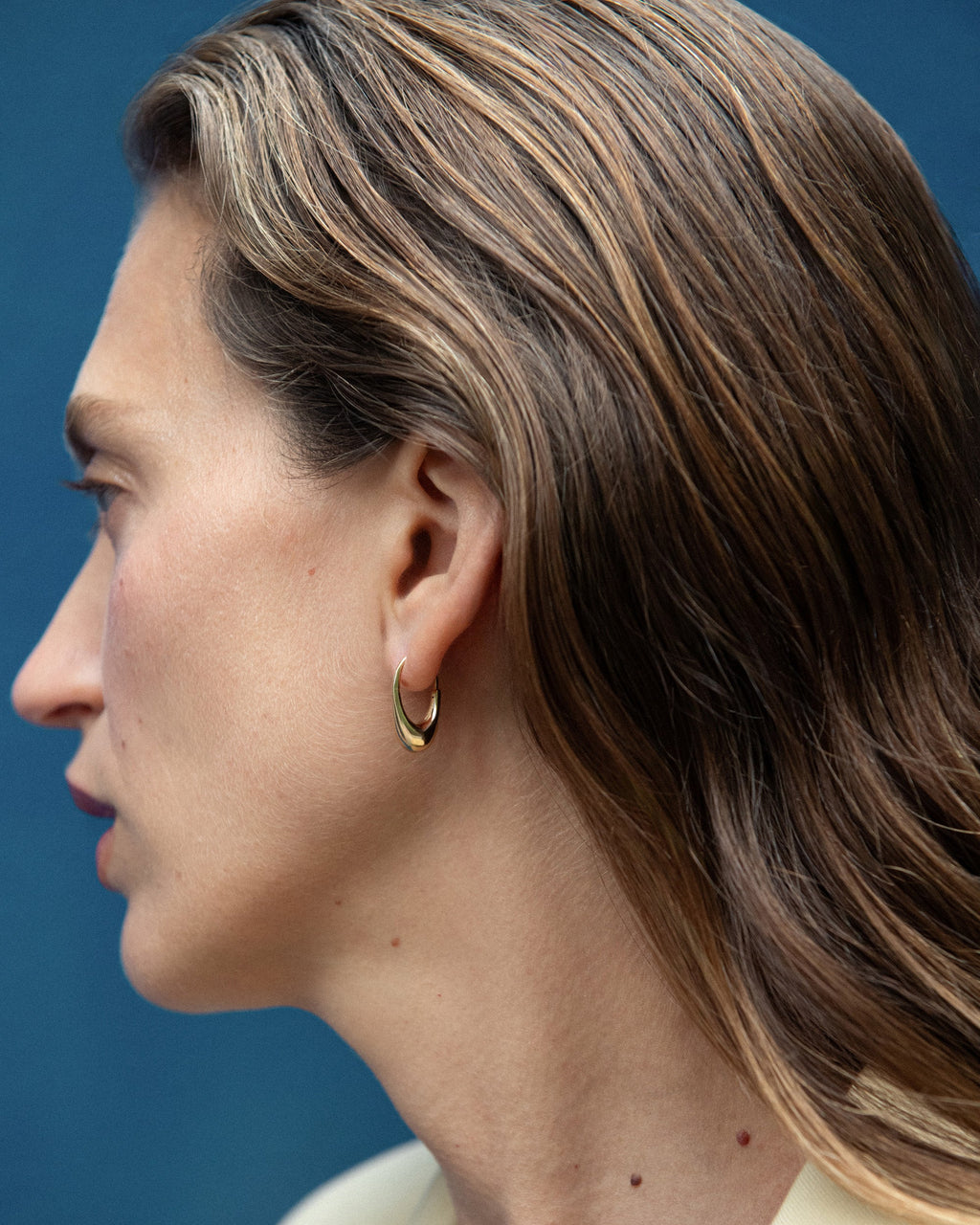 Roscida Drop Hoop Earrings