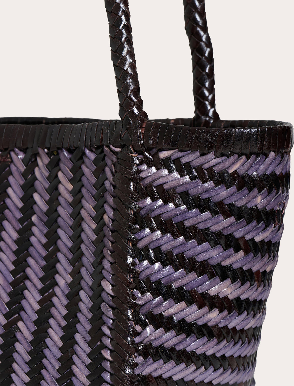 Ruby Stripe Woven Leather Tote Bag