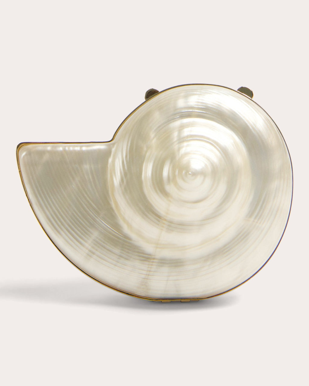 Marion Shell Clutch