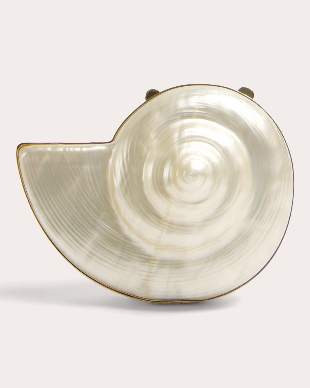 Marion Shell Clutch