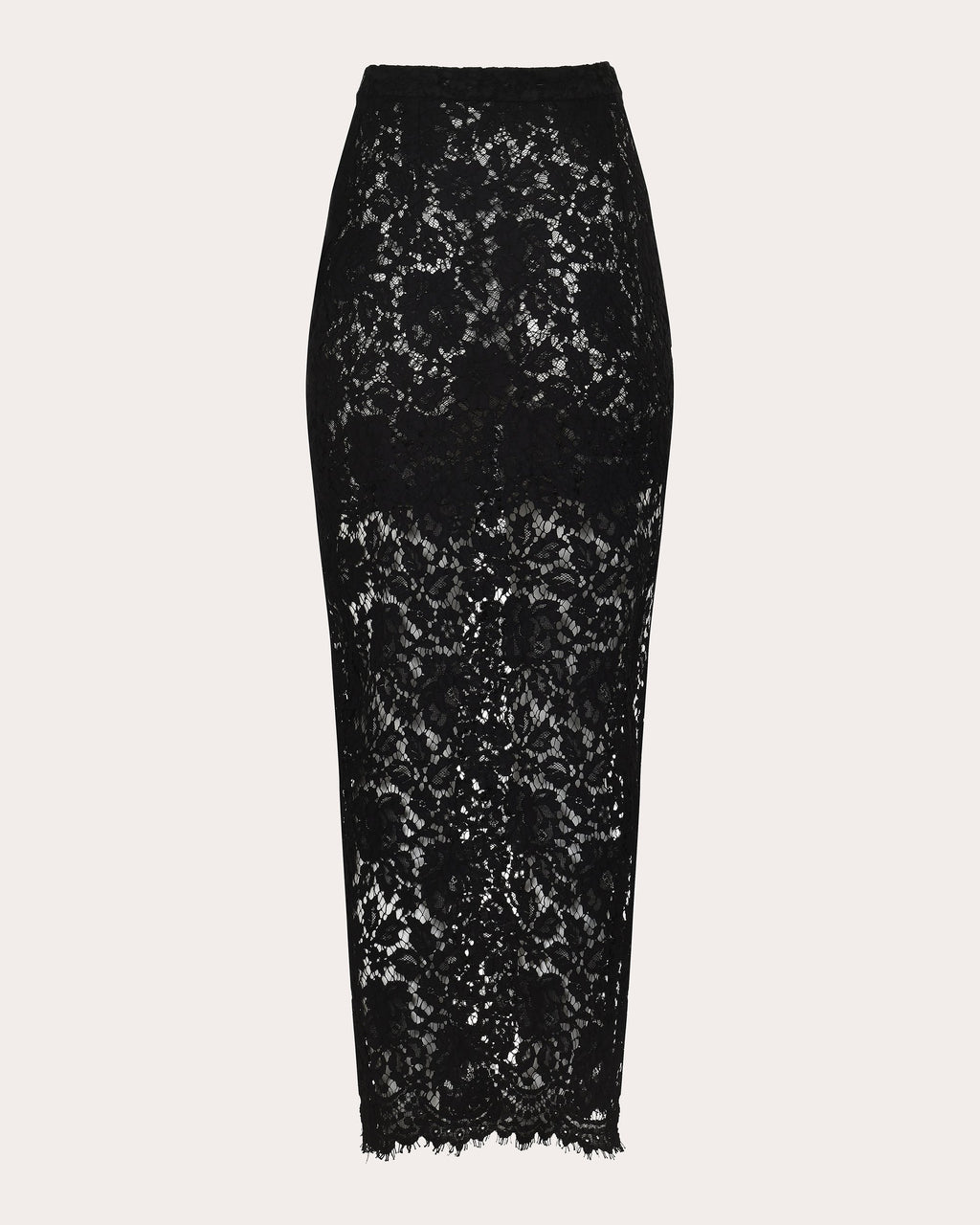 Siena Sheer Lace Maxi Skirt