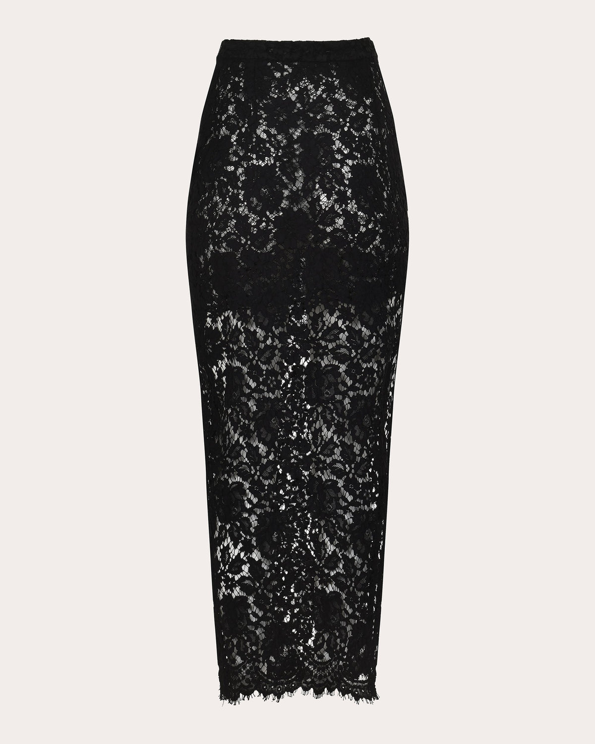Siena Sheer Lace Maxi Skirt