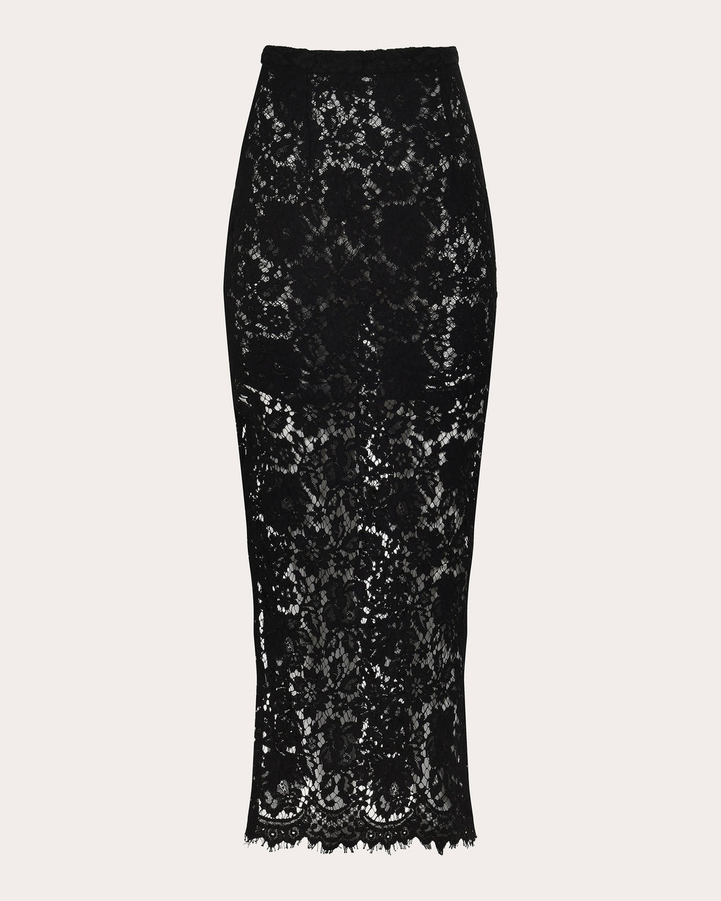 Siena Sheer Lace Maxi Skirt