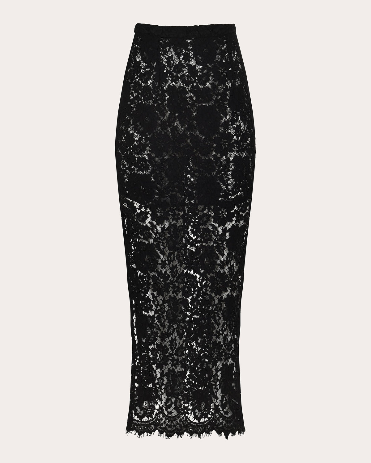 Siena Sheer Lace Maxi Skirt