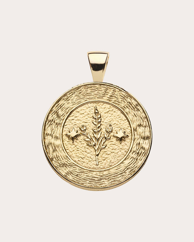 VIRGO Small Zodiac Coin Pendant Necklace