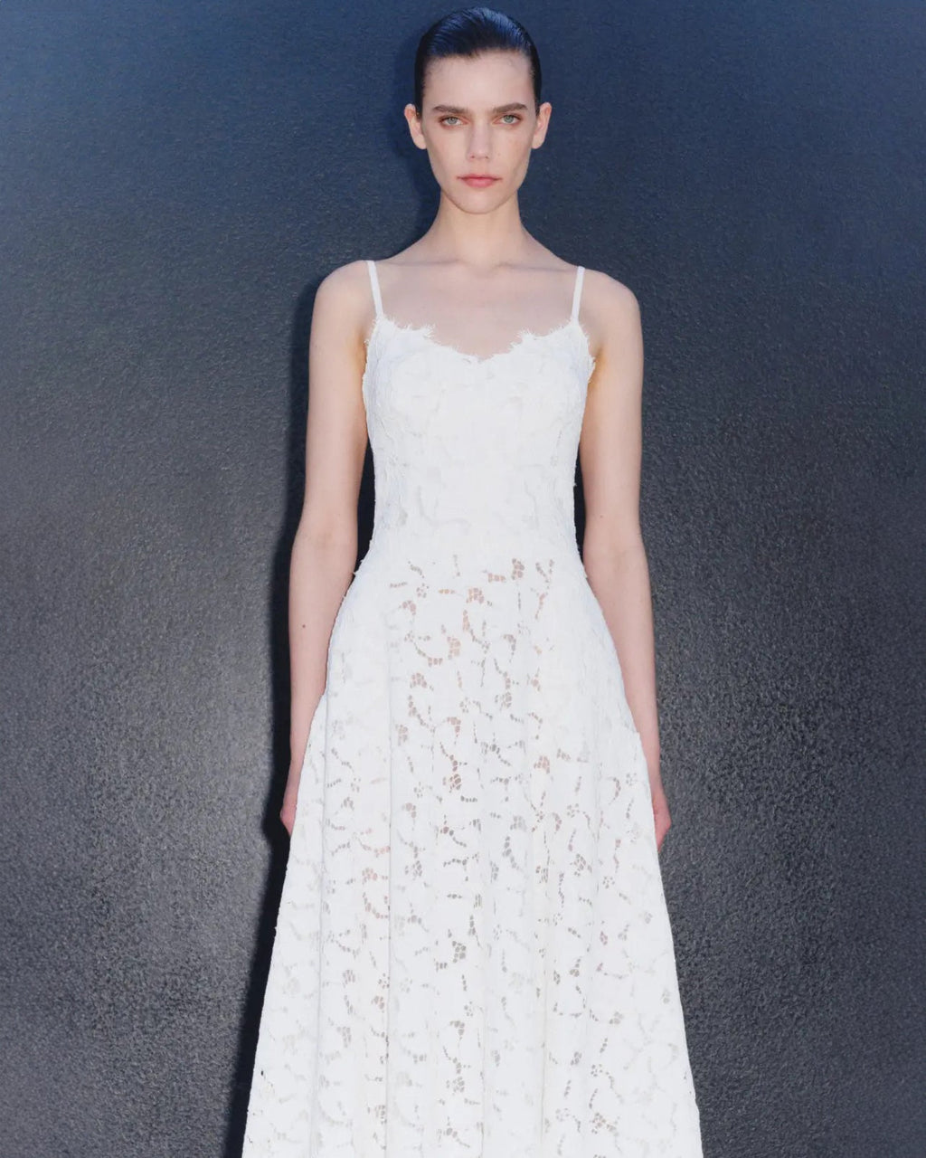 Julia Corded Floral Lace Sweetheart Midi Dress